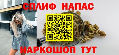 тгк Обь