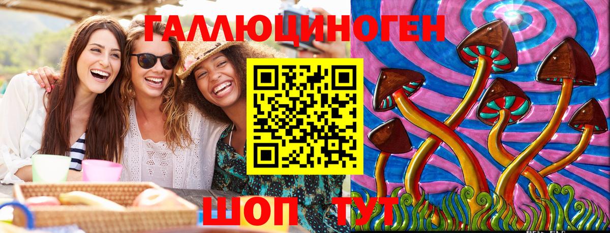 Саратов  Псилоцибиновые грибы прущие грибы  Вход с VPN 